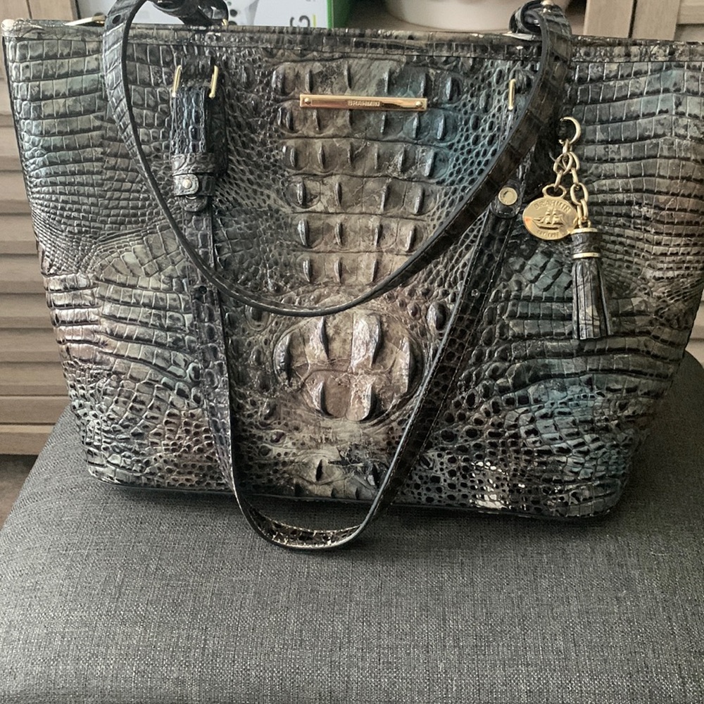 Brahmin pocketbook